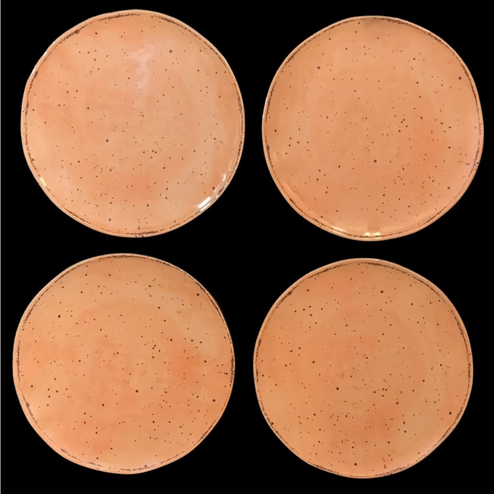 DANNY SEO Melamine Apricot orange Speckled Dinner plates Set of 4 New